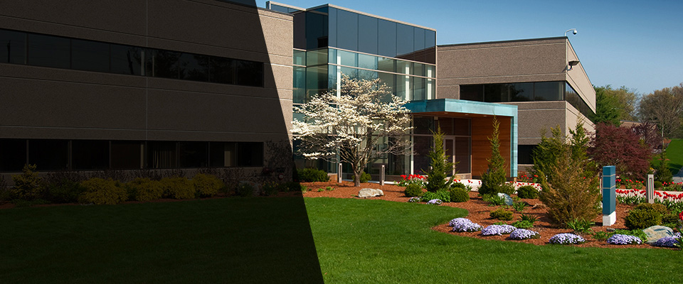 Lake Isabella Landscapers