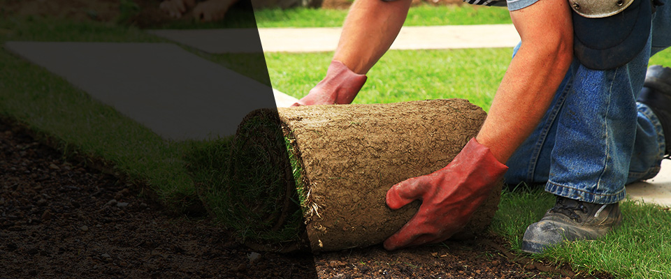 Lake Isabella Landscapers